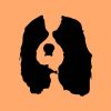 Cavalier King Charles